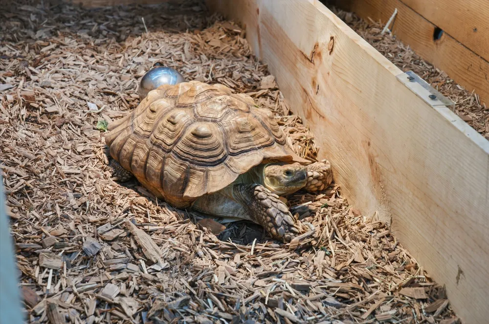 One Stop Pet Shop · photo 3