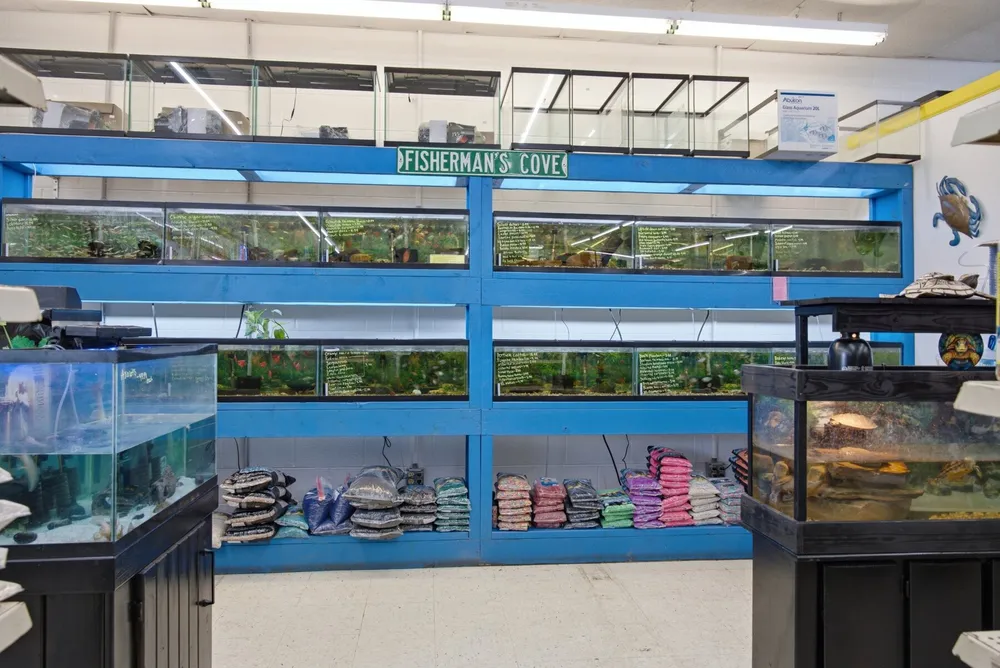 One Stop Pet Shop · photo 4